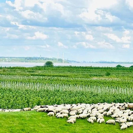 Elbeapartments Altes Land Grünendeich