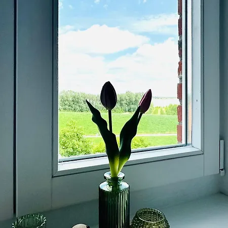 Elbeapartments Altes Land *